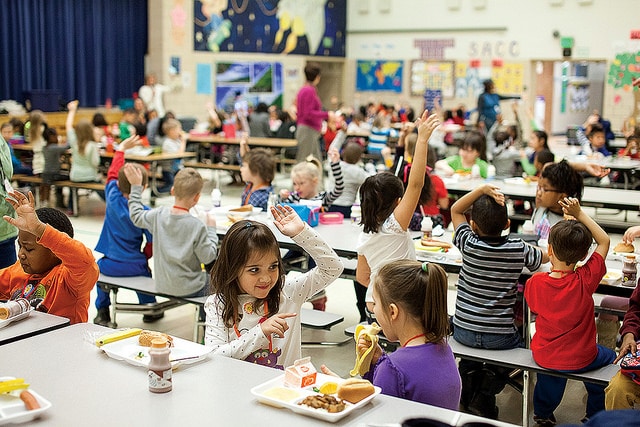 Cantines scolaires : quelles normes de sécurité ?