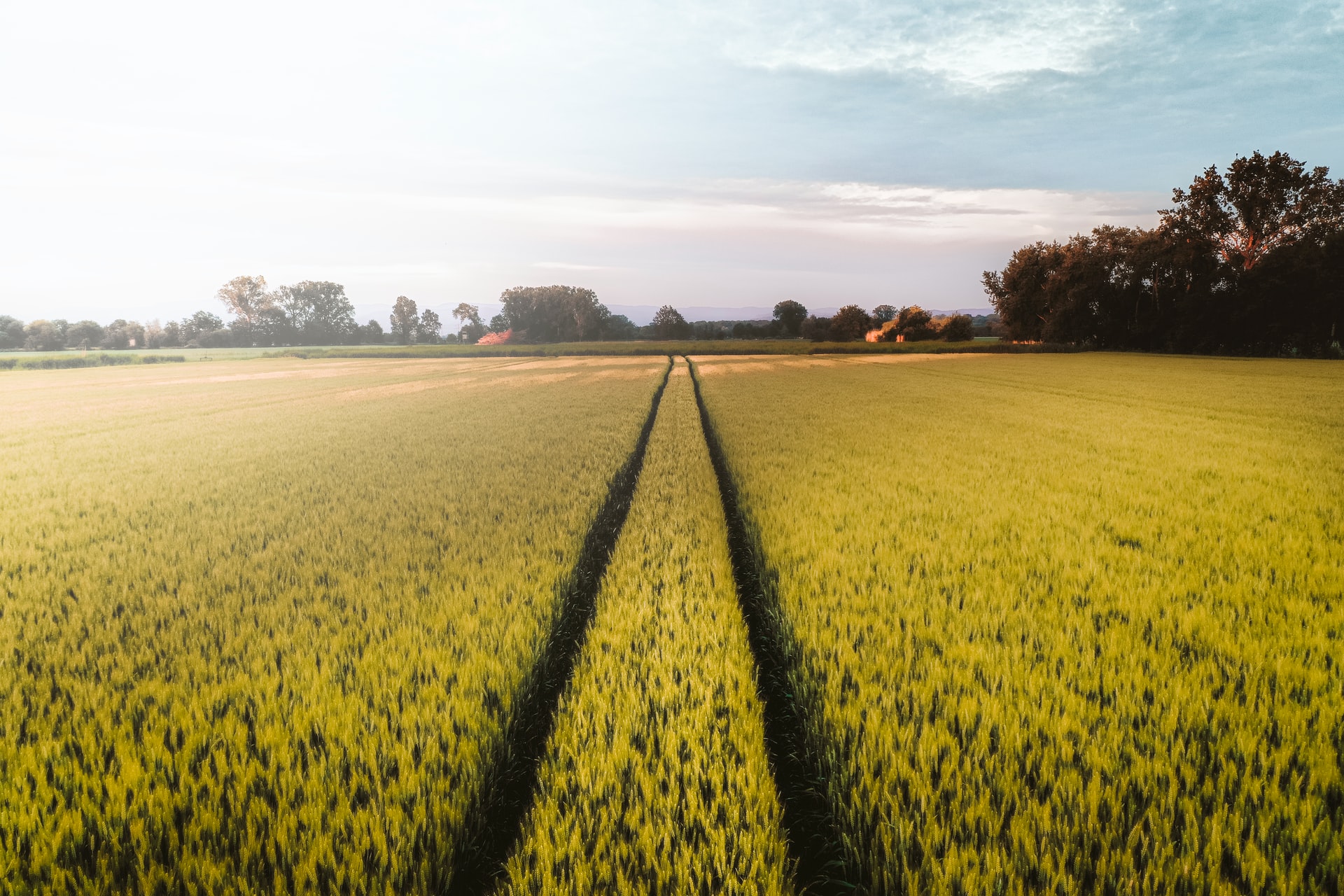 dédébarrasser nuisible agricole